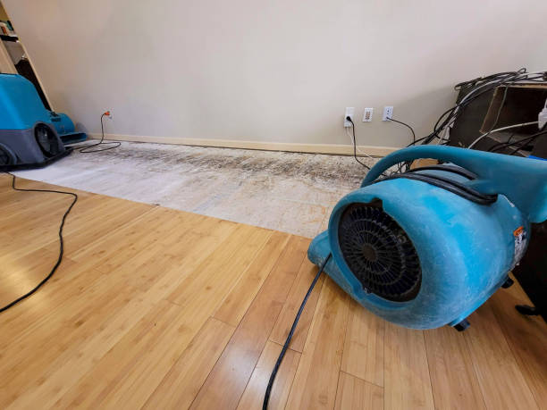 Reliable Water Extraction contractor in Fremont, CA by Hirex Water Damage