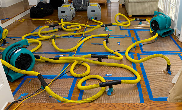Professional Water Extraction technician working in Fremont, CA
